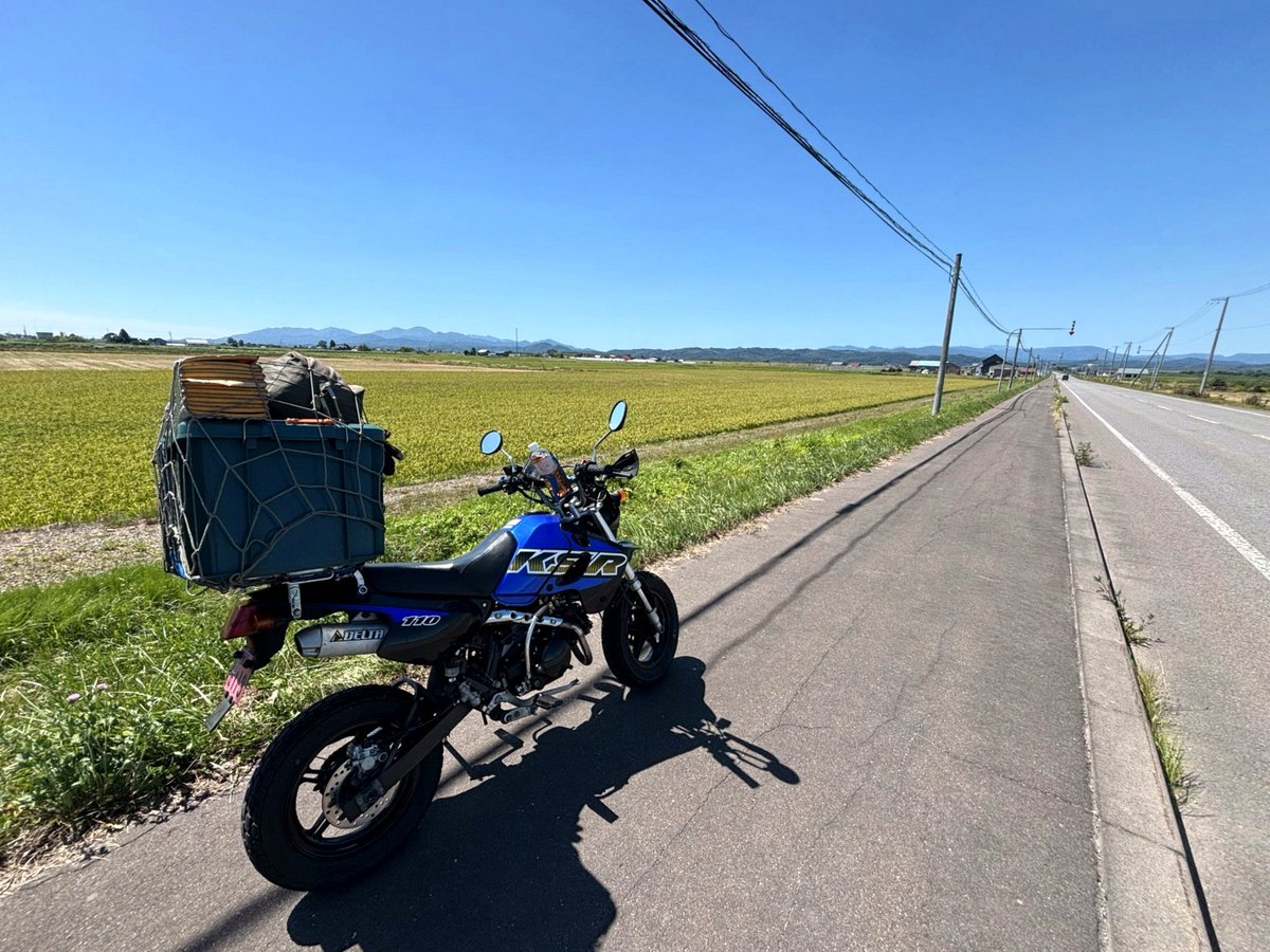 qNx2_o's tweet photo. 山田詠美好きだけど、自分が学生の頃に読まなくて逆に良かったと思う作品
山田詠美が書く学生生活の中でもわりかし読みやすい方だし、主人公の秀美を思い切り好みの男の子に書いたせいかある種のファンタジーみたいで心地よいです。
同級生が亡くなった日のエピソードが好きですね https://t.co/lVoAlURiOu