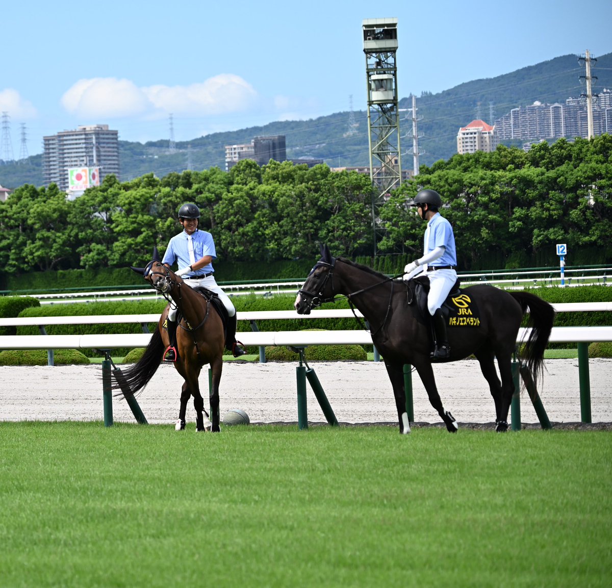 Max_KKGR's tweet photo. ぐねぐね https://t.co/M2DQs4n2wO