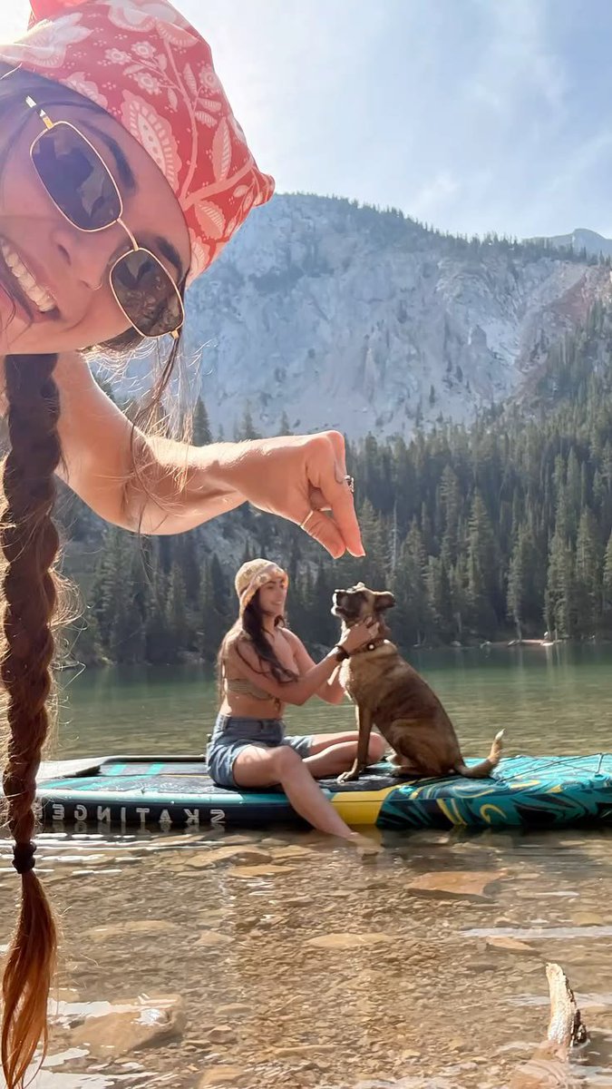 Michaely5's tweet photo. Fun time with my favorite 🐶🥰
https://t.co/LlVHlorJ7A
https://t.co/LlVHlorJ7A https://t.co/9Rmi26Hx8t