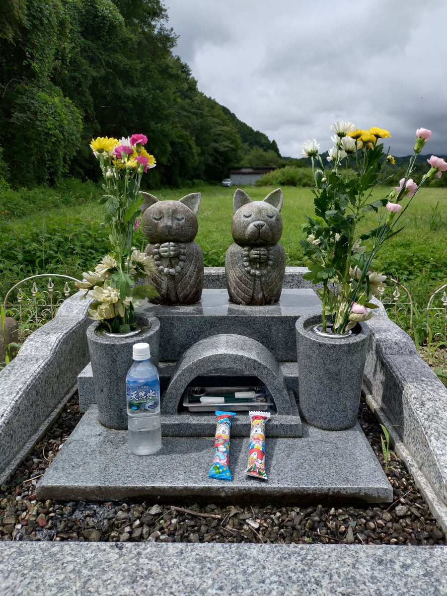 701_kami's tweet photo. ヒノキくんとワオくんが
虹の橋を渡りました

笑にゃんこ王国
にゃんことわんこのお墓
https://t.co/Vp9o1hZ1GE 

ヒノキくんは1F〜3Fまで
何処にでも付いてきてくれました

ワオくんは行き来が出来る扉の前で来る猫さんにワオワオ３回叩くのが
LIVEでも目撃して楽しませてくれました

おやすみなさい https://t.co/lM38Lv6sdI