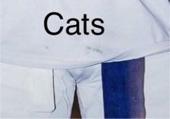 realjohnnyapp's tweet photo. This sums up both programs. https://t.co/eXVKTP2zE0
