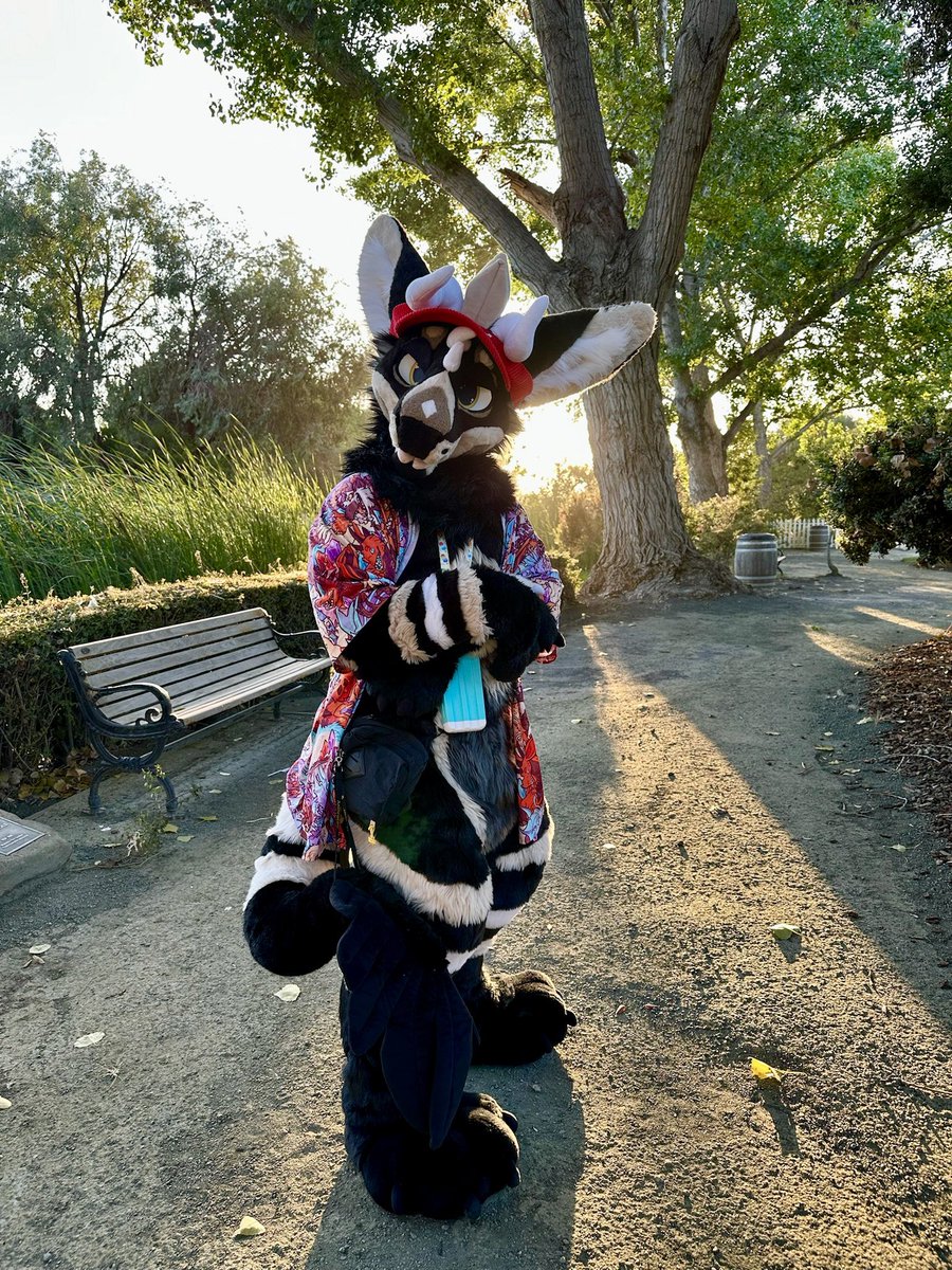 akraszehfoxo's tweet photo. Take a stroll with me through this path? 👉👈

#FursuitFriday https://t.co/yrGOlPth1k