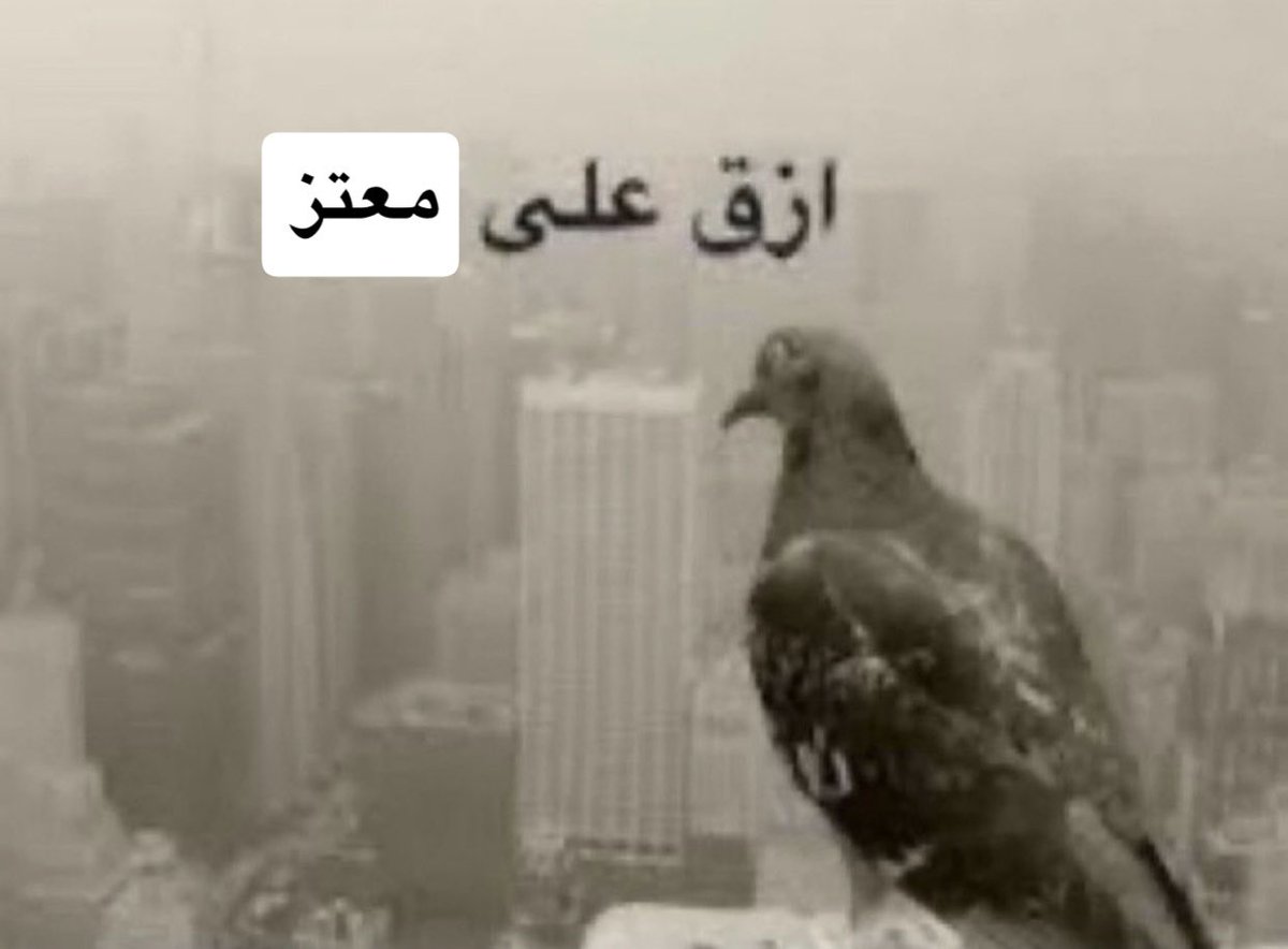 Mwlllv's tweet photo. ابو سويحل كل مالمح معتز https://t.co/wpaIARk7TM