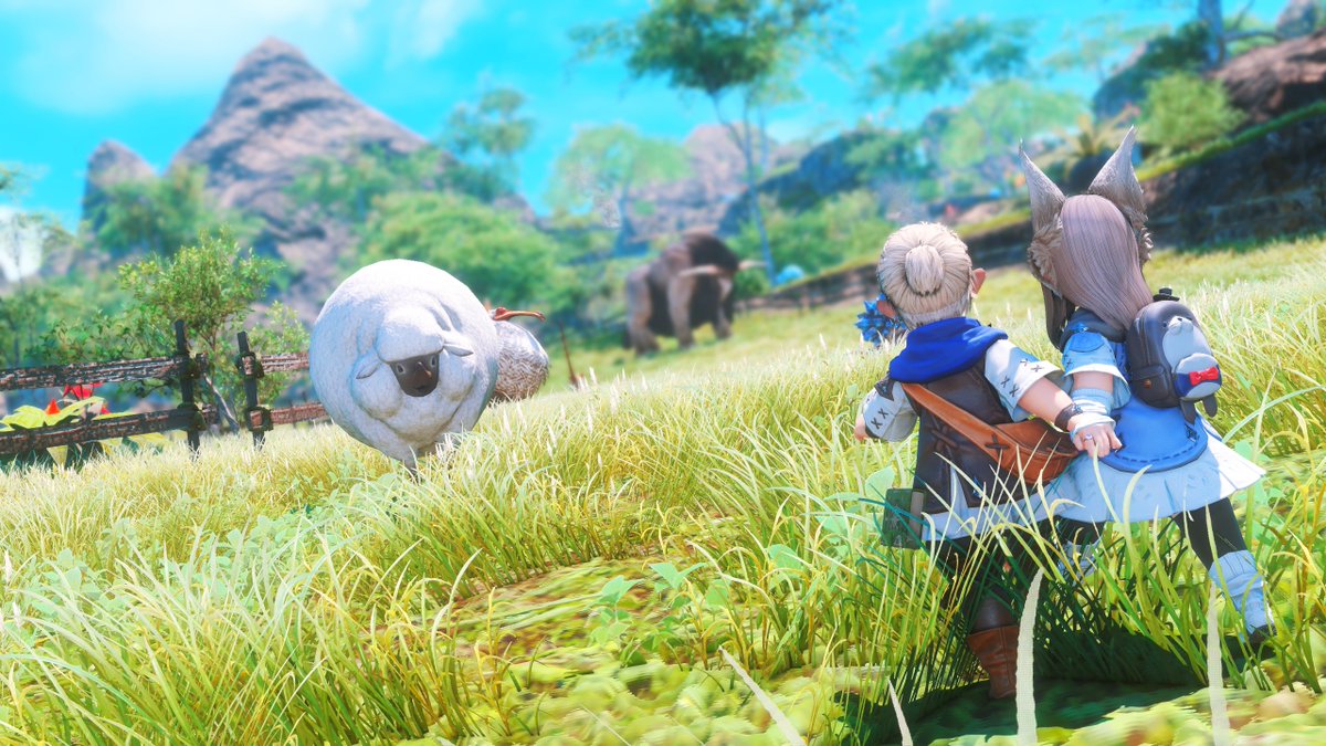 HaruSS_XIV's tweet photo. #ララフェル 🐏ʾʾ https://t.co/w9gDPQ2KpS