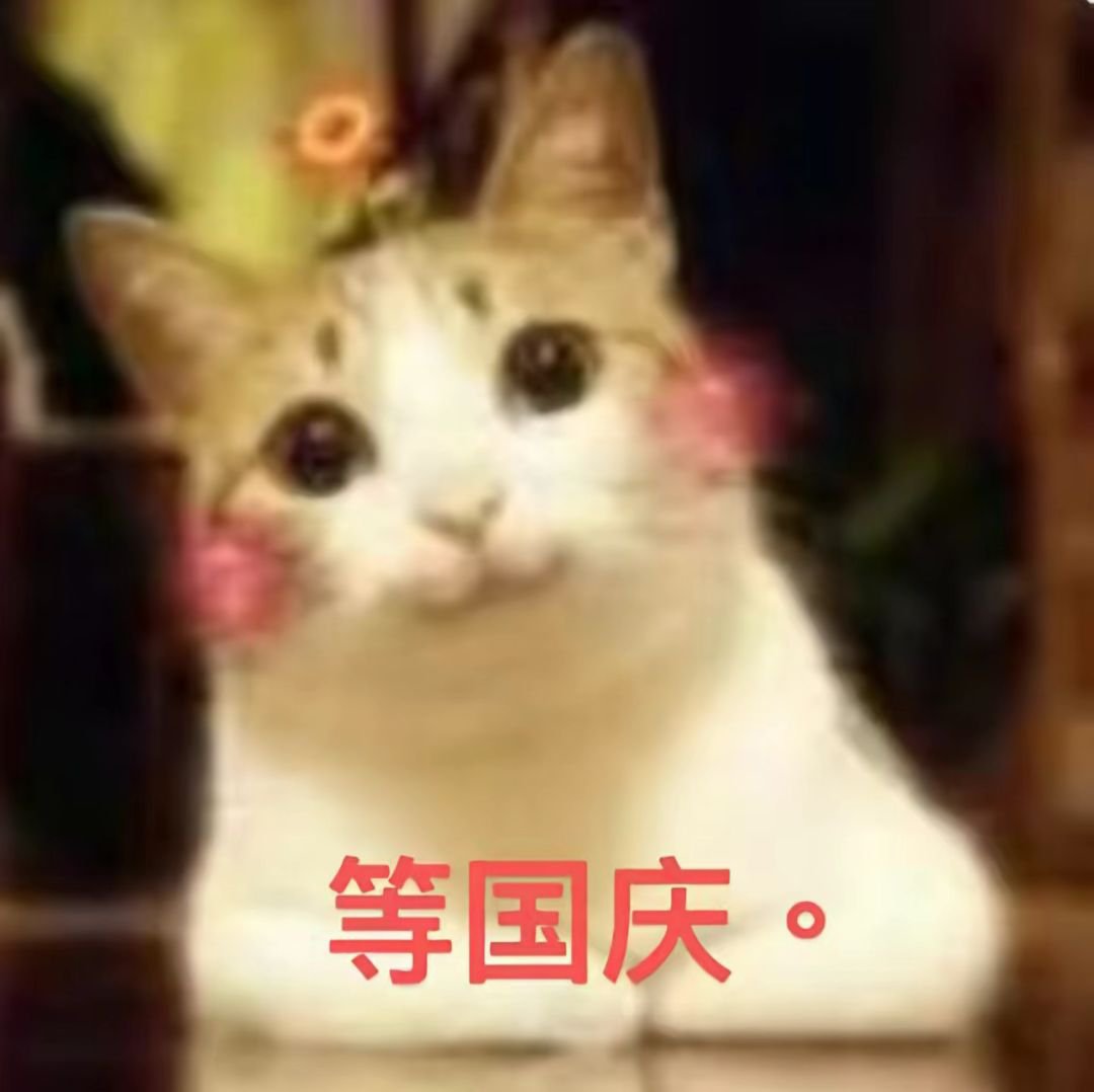 yo1222tt's tweet photo. 呆萌 https://t.co/vphNP3oyBg