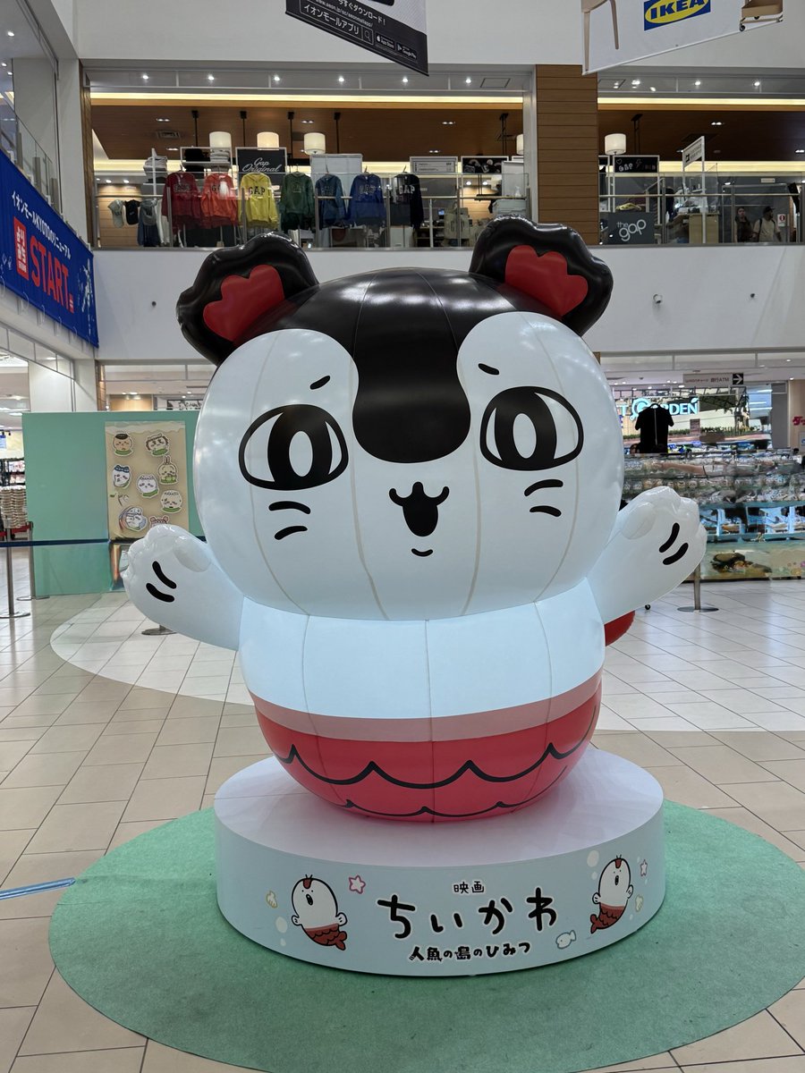 215974Am's tweet photo. 映画見てなくてもグッズは特典貰うくらい買うw
パンも今日はハチワレだけ買ってきた！
最近爆速でちいかわグッズ買ってるw
とても楽しい🎶 https://t.co/rAYCaOgz9n