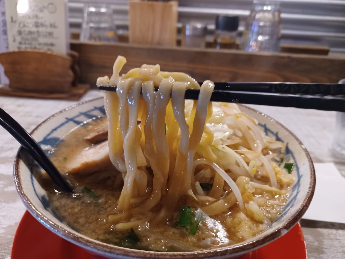 iko4423's tweet photo. これよ、これ。この太麺が好き。帰り際に、店主と浅間食堂&amp;力丸系のあまり黄色く無い麺とカンスイの関係のお話を聴いて来た。今度、浅間の姉さんにじっくりお話し伺いたいなぁ。バカ美味でした。
今回初めて松本トンネル通行して見ました。長いトンネルですね。
ご馳走様でしたまた、伺います。🤩😝🤪 https://t.co/h6qcafiQQE