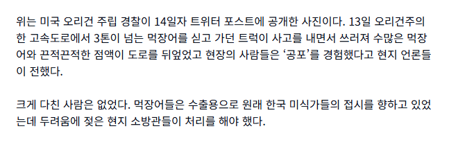 dried_gosari's tweet photo. "원래 한국 미식가들의 접시를 향하고 있었는데 두려움에 젖은 현지 소방관들이 처리를 해야 했다" https://t.co/5KTmi9gCJG