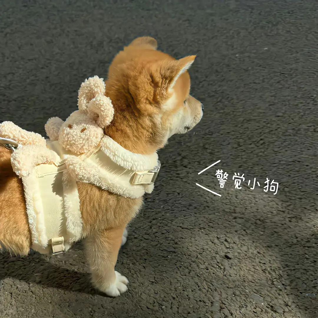 ShaunaHeasley's tweet photo. なんとなく落ち着かない時間が続いてる。こういう時、ただ流れるままにするのが一番なのかもしれないね。なんとなく。 https://t.co/kSqJZBpBRR