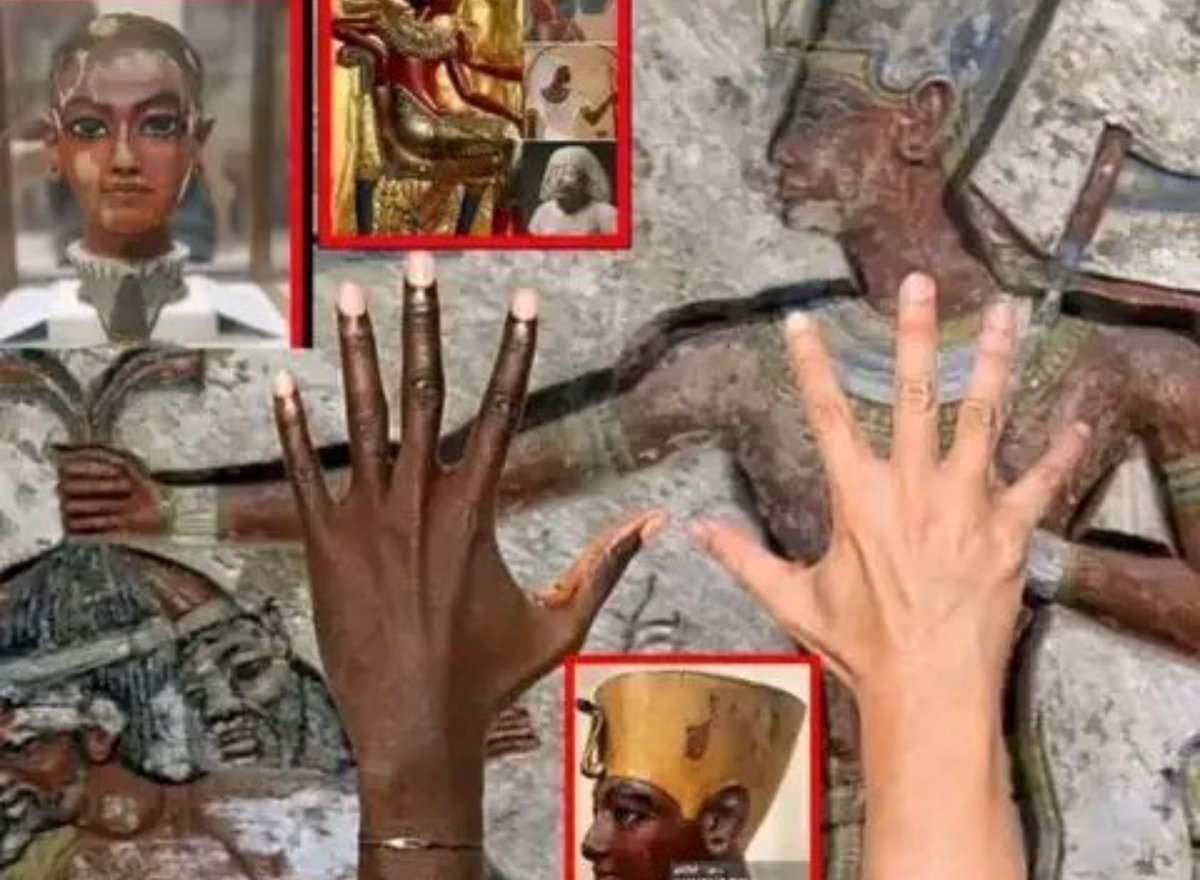 TheRealAssasn's tweet photo. The difference is very clear yet they want to confuse you with fake and debunked DNA evidence. Ancient Egyptians were Purely African, just use your eyes. https://t.co/PrIReU9LQY