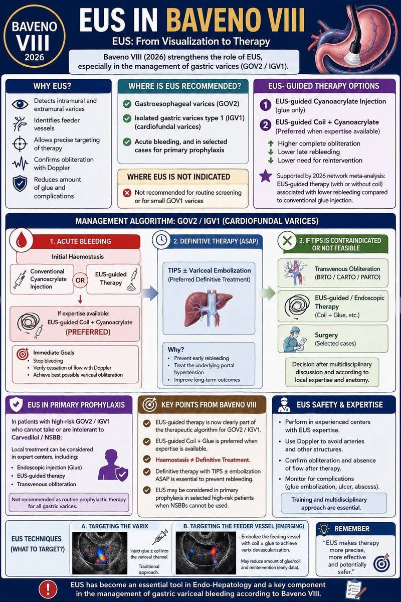 helpatologist's tweet photo. Baveno VIII further strengthens the role of EUS in #EndoHepatology, particularly for gastric varices (GOV2/IGV1), with EUS-guided variceal control recognised as a preferred option. 

Yet EUS remains on the sidelines for secondary prevention &amp; SWE.

EUS-PPG? Baveno IX perhaps… 😉 https://t.co/hmVxL7bpvj