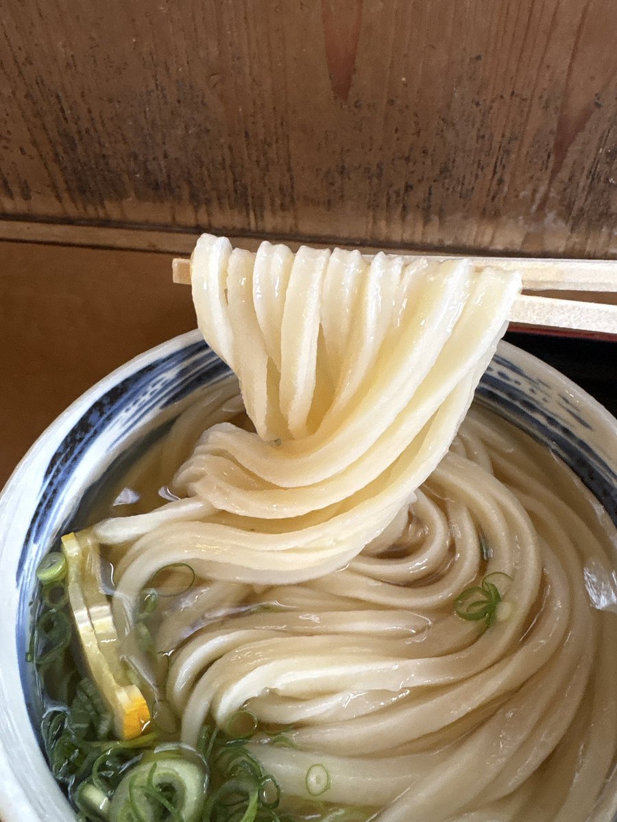 9Gaku's tweet photo. 冷やしかけうどんうめぇ！🤤

 #冷やしかけうどん
 #うまじ家
 #讃岐うどん https://t.co/9fOkmXOOrn