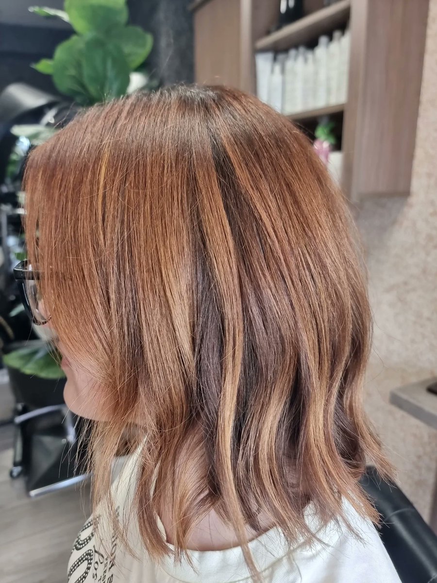 FernandoLapaSet's tweet photo. Spring copper. https://t.co/Z8F1l6cvai