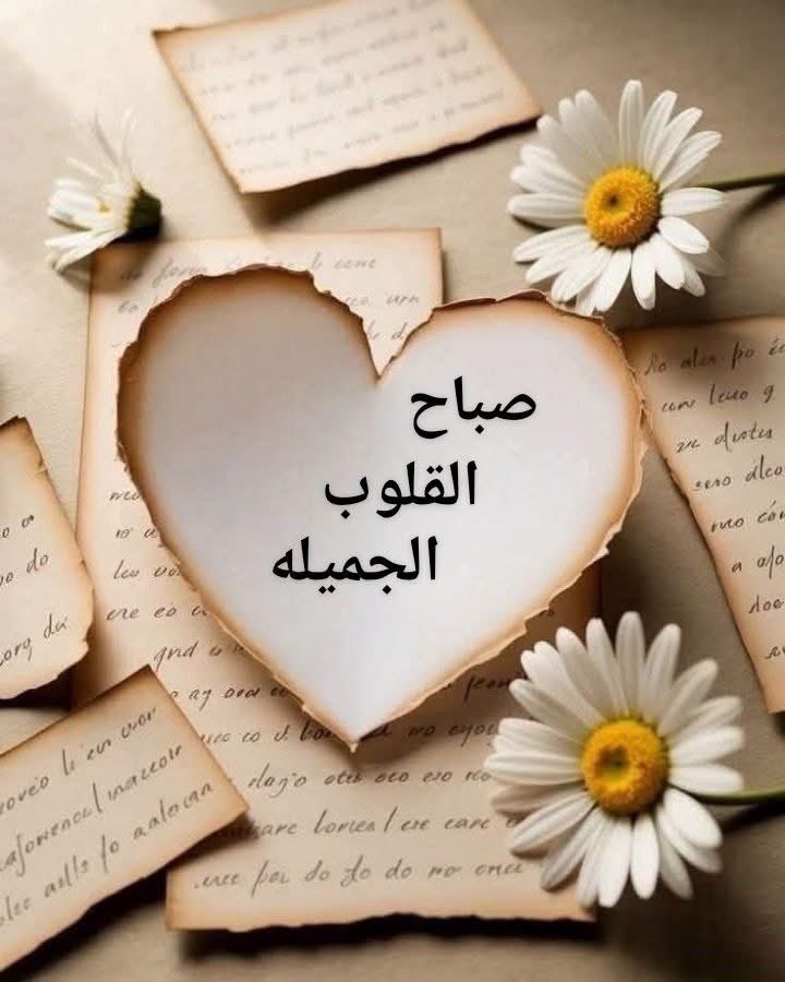 amerat_al8lo0ob's tweet photo. رسالة الصباح..📩

صباح الورد ..
للذين مرورهم على عتبات القلب نسائم سحر ينجب عبيرها ربيعاً رائع الجمال.
للذين عبورهم امام شواطئ الروح امواج بحر يغسل انسيابها حزن الوجد والبال.
صباحكم نسائم معطرة بالورد والزهروسلامًا من القلب.لمن بهم الحياة أجمل.❤️🌹 https://t.co/3feKiGronK