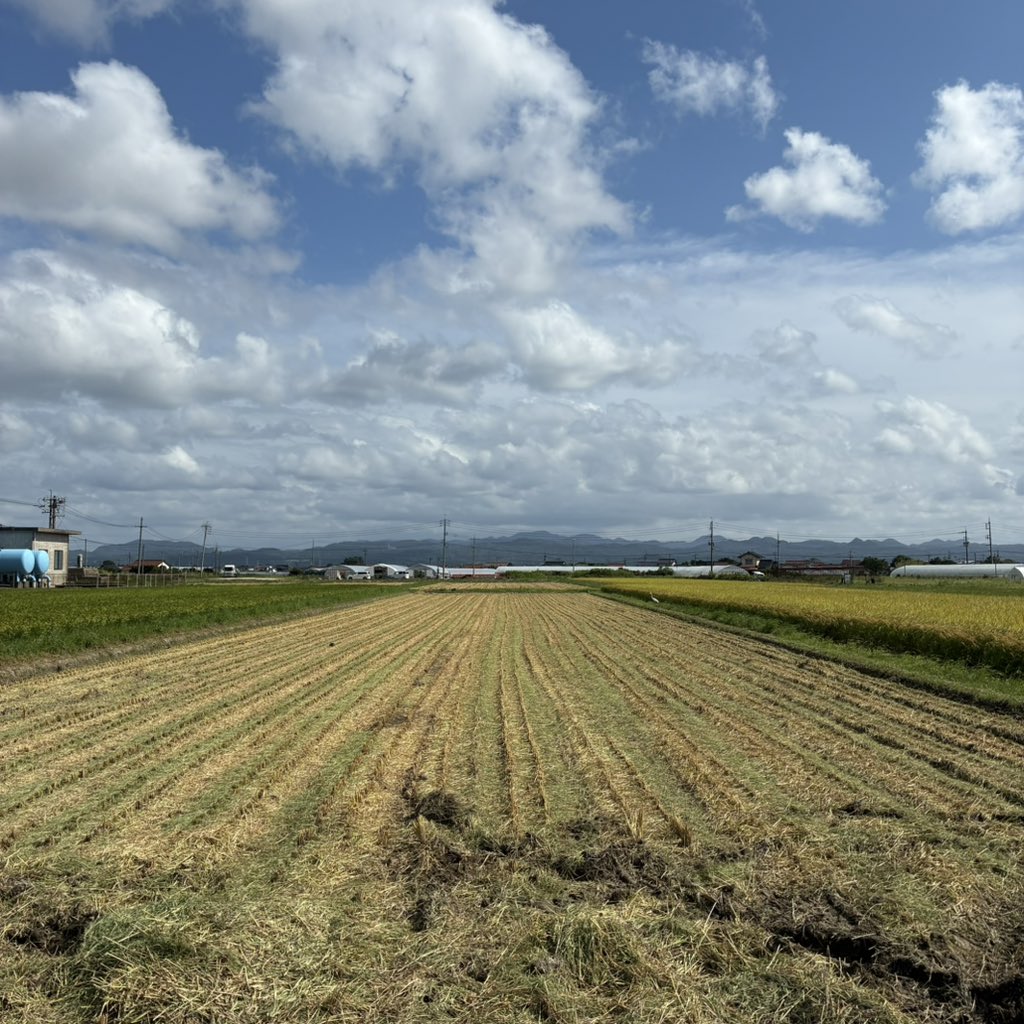 ebisu1213's tweet photo. 稲刈り終了しました https://t.co/ruopok4egQ