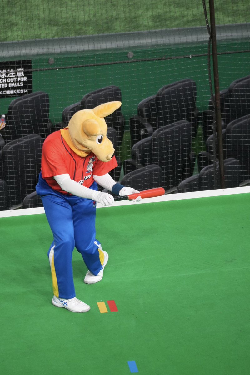 ufcmto's tweet photo. カルちゃん隊🦘😺 https://t.co/f4LUE9hDs9