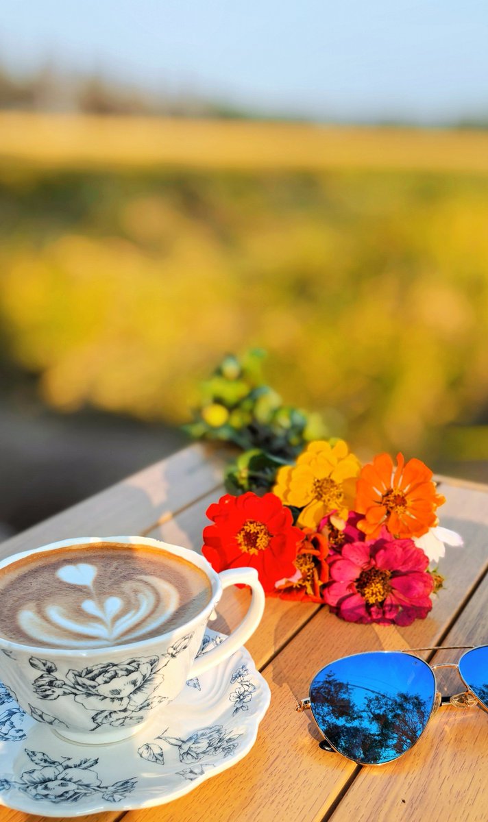 MargaretWafycf's tweet photo. Hoy el café sabe mejor, caminé bajo el sol y encontré una flor bonita. Un día chiquito pero feliz.， https://t.co/ThD28o0ne8