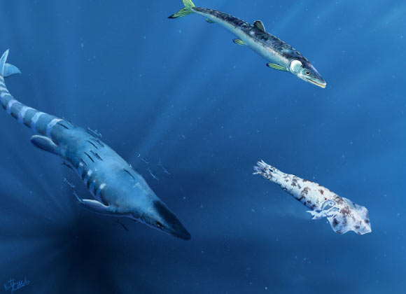 CRCpaleos's tweet photo. CALAMAR CRETÁCICO
El fósil de una criatura gigante parecida a un calamar del período Cretácico presenta marcas de un ataque mortal
📰https://t.co/MLPFhF6vrL
vía @scidotnews
#Cretacico #Moluscos https://t.co/3ZWX9DC3aC