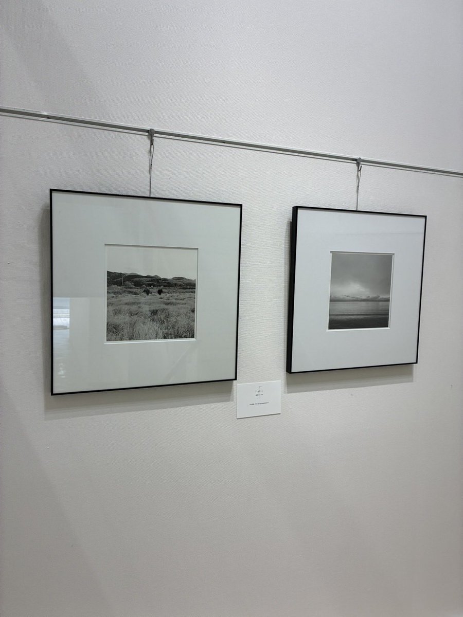 Blackgazaistaff's tweet photo. 【展示のお知らせ📢】

こんにちはgallery Blackです🌞

写真展 エディション四半世紀。
メノツケドコロ・III
数のある光景、メノツケドコロ。展が始まっております✨
レセプション・ギャラリートークが今日の18時から行われます！

【日程】
9月2日（水）〜8日（火）
10時30分〜18時※最終日のみ2時 https://t.co/1ZAZcbCM3x