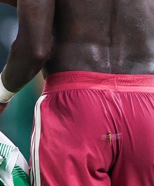 TouchlineX's tweet photo. 🚨 𝗡𝗘𝗪: A bug was constantly annoying Vinicius during the match last night. https://t.co/ENZIYXT5oP