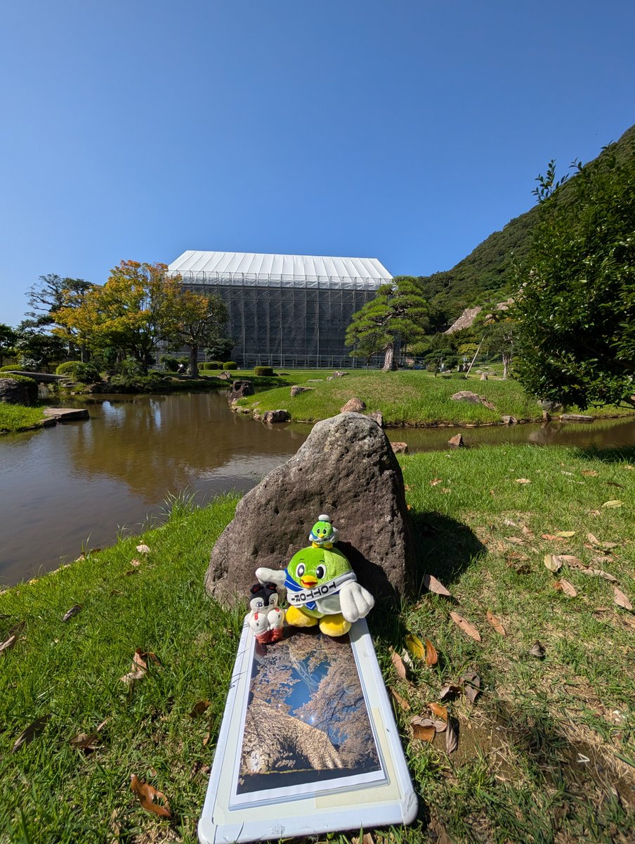 syuranui3's tweet photo. 映画ちいかわ 入場者特典の為に連続は辛いから お散歩して気分転換
セイレーンちゃんと鳥取城跡のハートっぽく見える桜の木を動画で撮りたかったけど風が強すぎて吹っ飛んじゃって…
ぬい活キャンペーンの為に トリピー Lサイズぬいぐるみ さっき購入したのとm(_ぬ_)m
紅葉したらまた来ないとっす https://t.co/u4defLWxUN