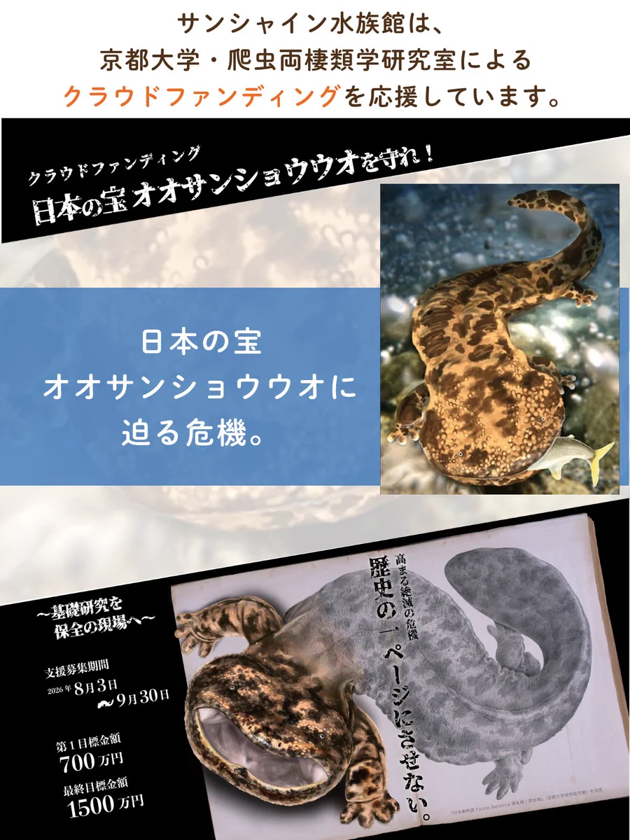 サンシャイン水族館 on X: 
