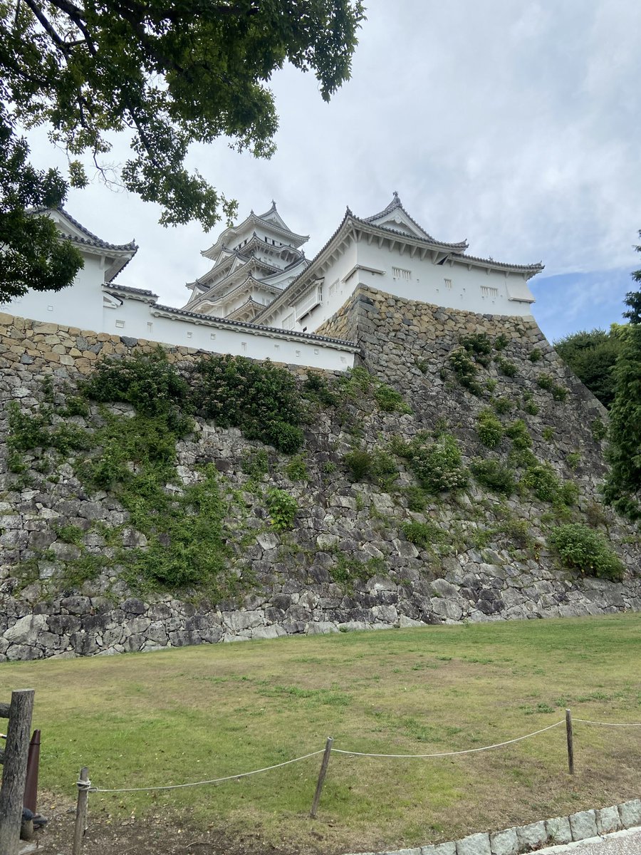 Yxp4k47U's tweet photo. 一旦観光へ姫路城
めっちゃ白い🤍 https://t.co/E87J6yXBo0