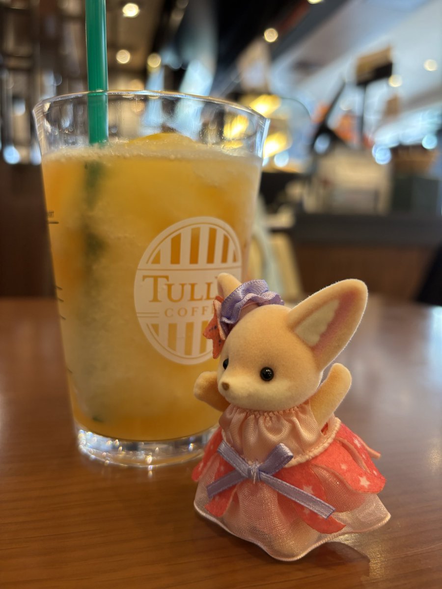 so_keio's tweet photo. あまりにもかわいい https://t.co/yR8CGcr1aN