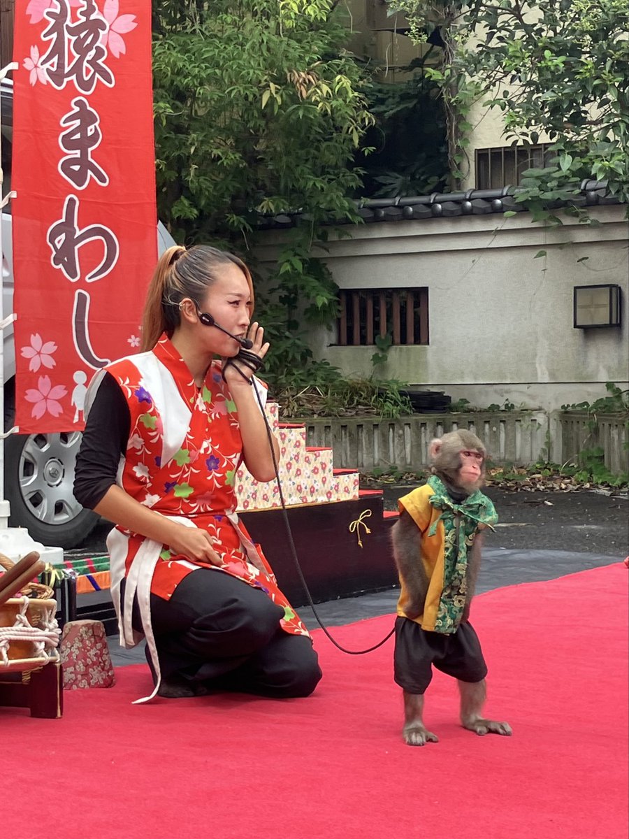 3939saku39's tweet photo. 今日は成田。
コンビ「Besties -ベスティーズー（ジャッキーくん＆咲笑さん）」は4ヶ月ぶりの関東ということで、成田山新勝寺の表参道に行ってきました！
ひと回り成長された姿でのパフオーマンス、めちゃめちゃ素敵でした♪笑
#Bestiesベスティーズ #ジャッキーくん #二助企画 #猿まわし #猿回し https://t.co/pnNJPwgcXM