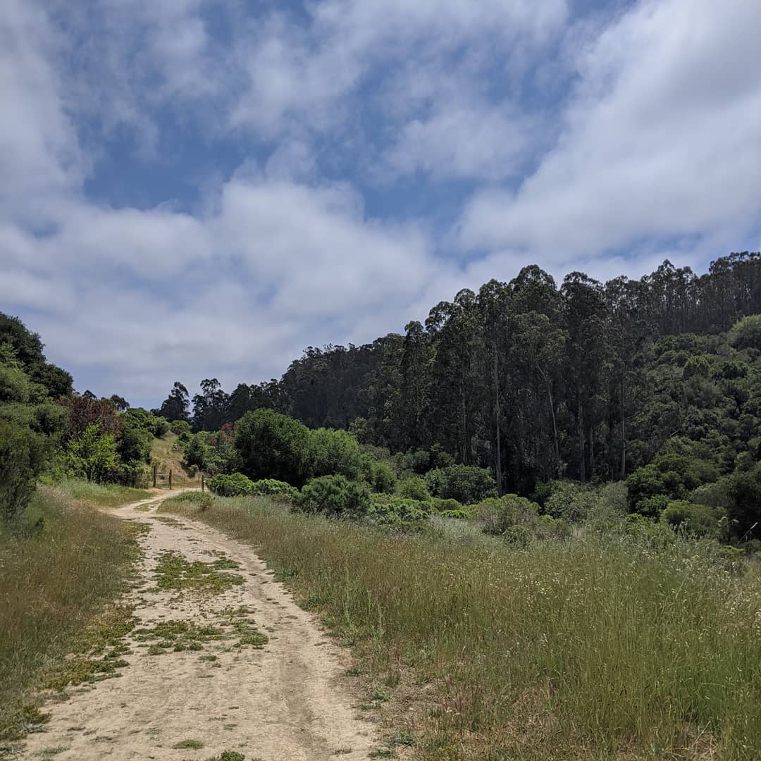 RegeniaShula's tweet photo. Health Step 3: Go outdoors and move. Yesterday, I joined adventurous entrepreneurs for a 2-hour East Bay hike. Great trails, real conversations, and a close encounter with a resident snake. Movement, fresh air, and face-to-face connection felt https://t.co/ZEjHrAD1fK