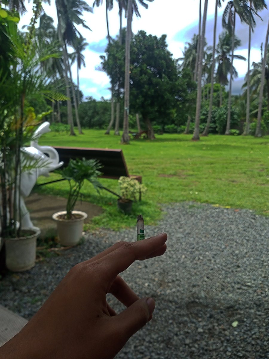 soadrahhh's tweet photo. be one with nature #yositwt https://t.co/bYPvIOnxI2