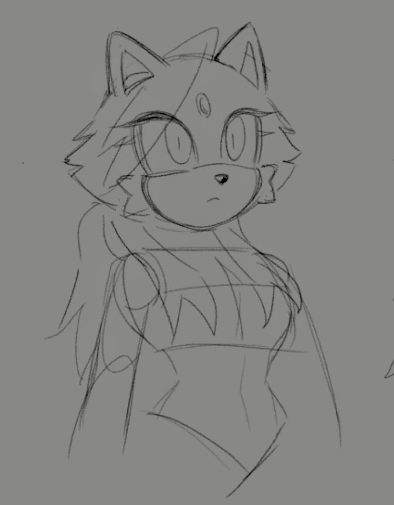 YoiKoi511's tweet photo. More magmaaa #BlazeTheCat #ShadowTheHedghehog https://t.co/CBA077W0ac
