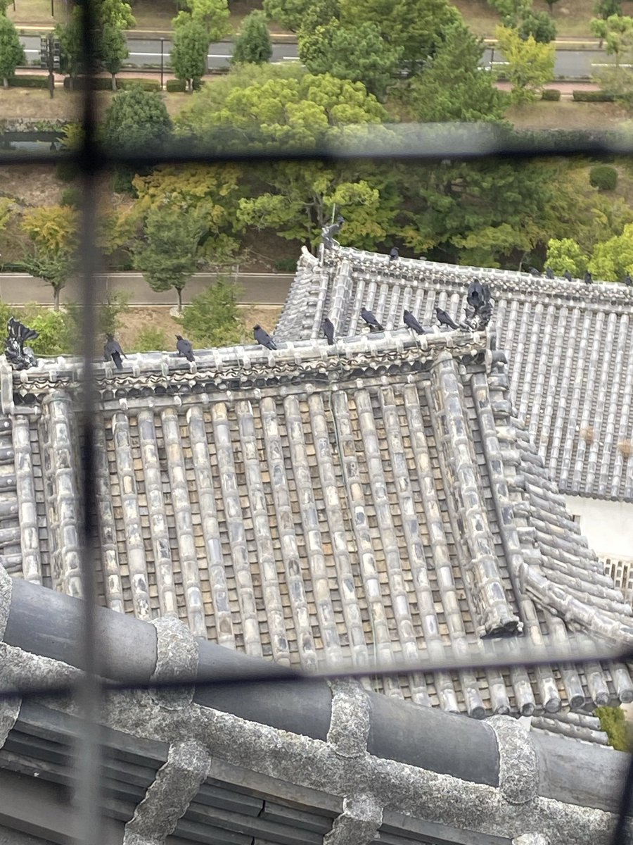 Yxp4k47U's tweet photo. ディアブロいっぱいおる
明日の示唆か？これ https://t.co/USjQrLvpaB
