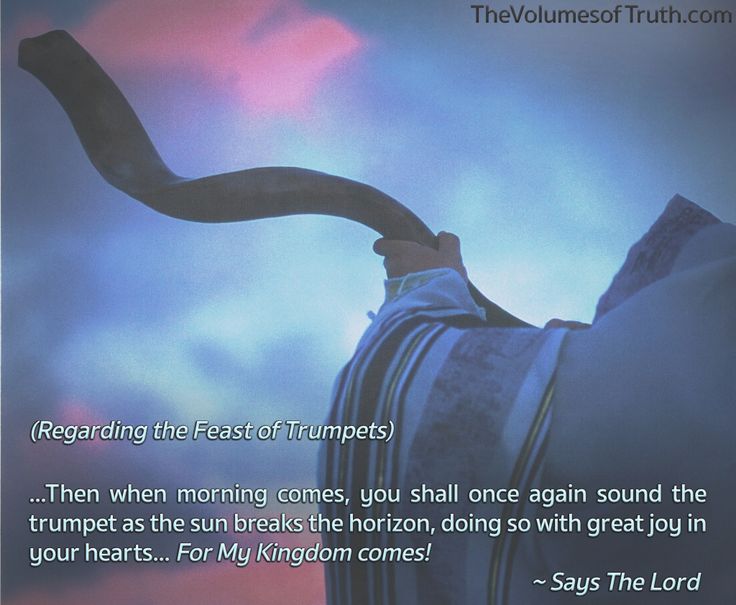 TrustinYahuShua's tweet photo. From The Lord, Our God and Savior ✉️
(Regarding the Feast of Trumpets)
https://t.co/X9AZQjTtRA
#TheVolumesofTruth #YAHUWAH #YahuShua #Jesus #God #RoshHashanah #FeastofTrumpets #HolyDays #Sabbath #Shabbat #Leviticus23 #Faith #Lamentation #Shofar #Trumpet #TheDayofTheLord https://t.co/0zma0xMPp3