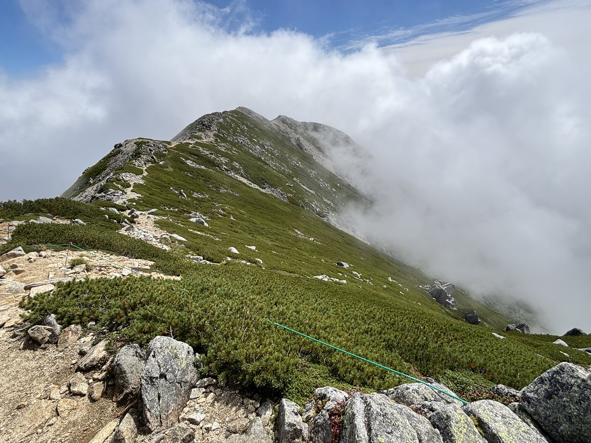 osuzu_13's tweet photo. 4時起きで家族と登山してきた⛰️
涼しくて松のいい匂いして、思ったより天気も良くて良かった https://t.co/ldJouxURsm