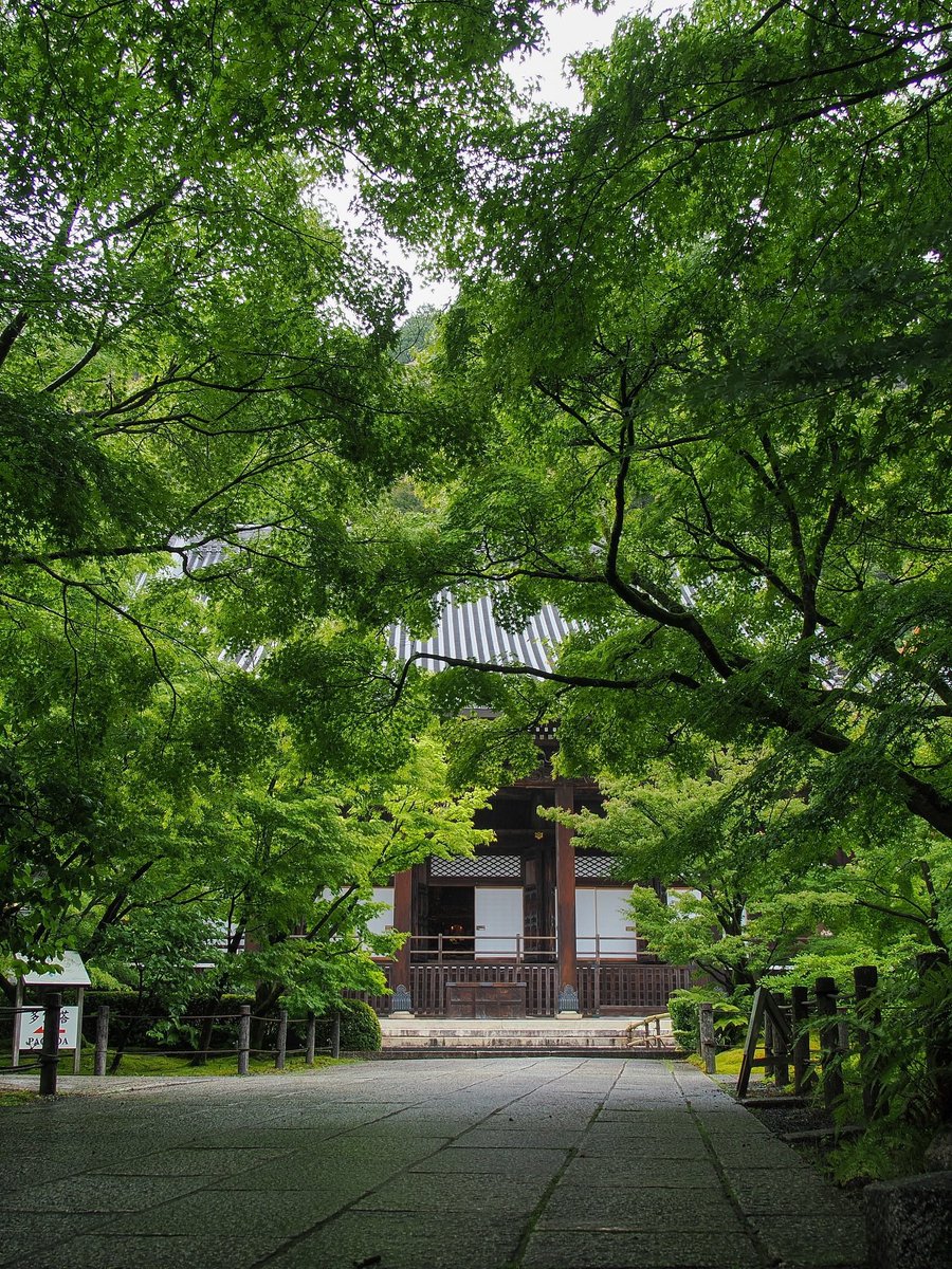 flower6260's tweet photo. Kyoto, Japan https://t.co/znwNSFmOhn
