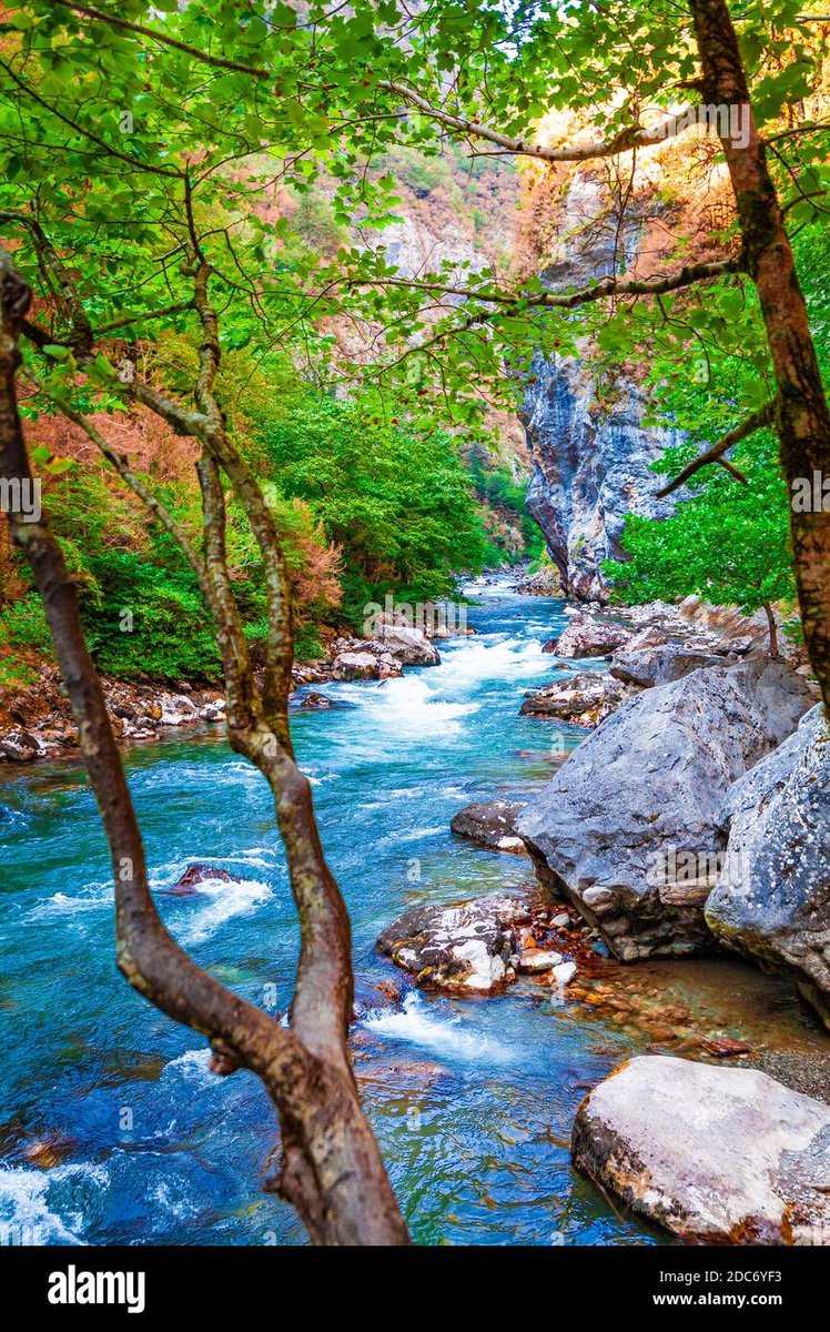 JohnWalkergp9's tweet photo. Cả nhà tham khảo thử em nước tẩy trang dịu nhẹ nhen 🌿 #DESEE #NuoctaytrangDesee #DeSeeVietnam #mỹphẩmKombucha #HiểulàndaViệt https://t.co/2WQjJq6OOt
