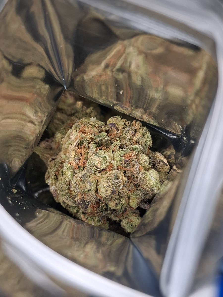 Mr_Buds_Va's tweet photo. Mystery packs. All Exotic, grab yours 30per 3.5g of variety packs. Only the most unique reach these.
#Mystery #Mystry8th #HiFiPromotions #MrBuds https://t.co/ZHqeORAr68