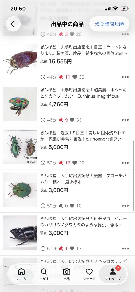 boxB5mBM2rdMIUL's tweet photo. 現在価格です！ https://t.co/pEUDKPeere
