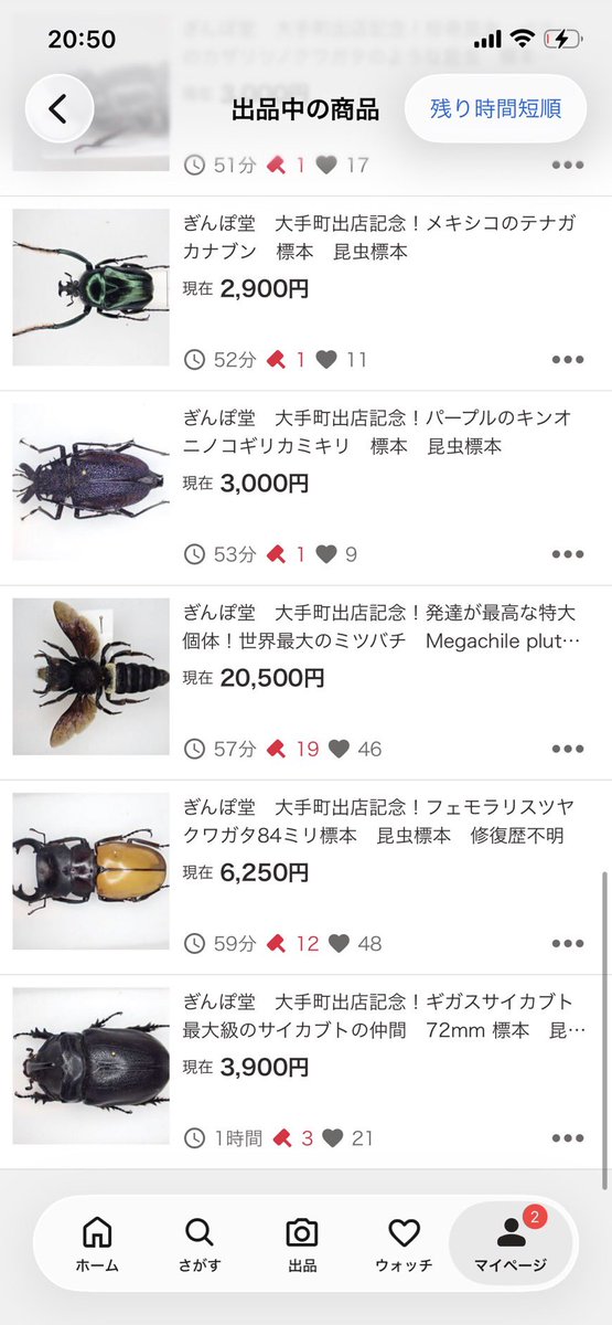 boxB5mBM2rdMIUL's tweet photo. 現在価格です！ https://t.co/pEUDKPeere