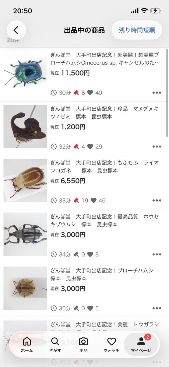 boxB5mBM2rdMIUL's tweet photo. 現在価格です！ https://t.co/pEUDKPeere