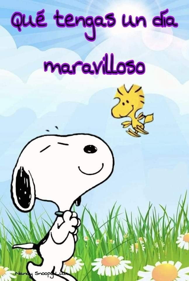 tomasito69ok's tweet photo. @Pau88g Buenos días ☕ https://t.co/nWGnhx2W1c