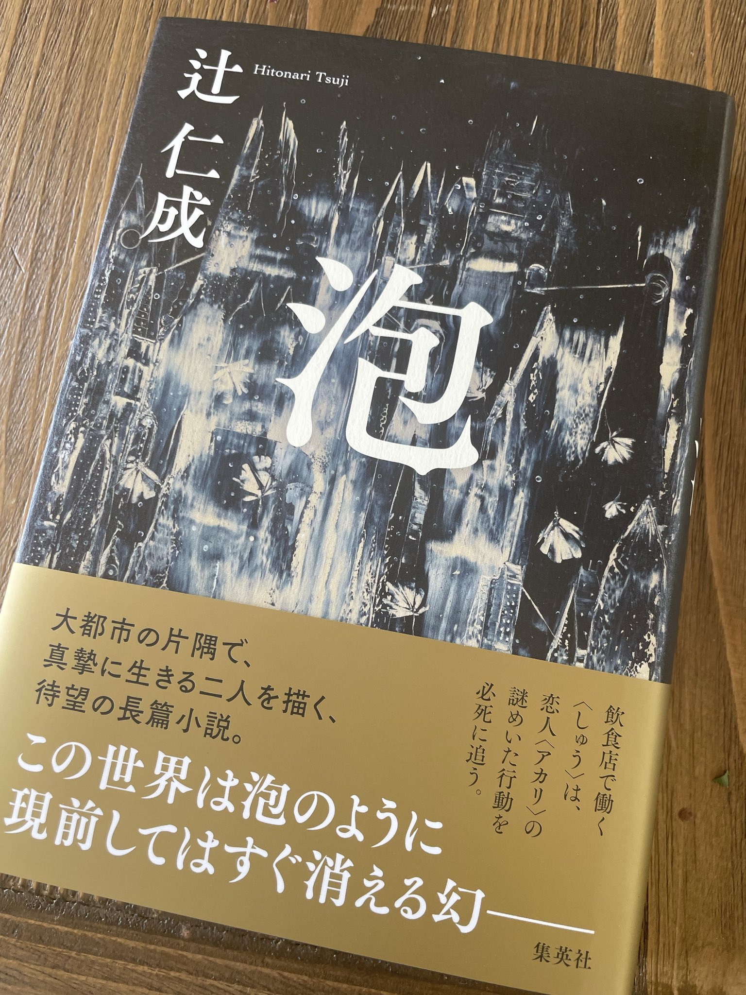辻仁成 в X: „宣伝で、ごめんなさい。🙏。 昨年秋にエックスで3ヶ月
