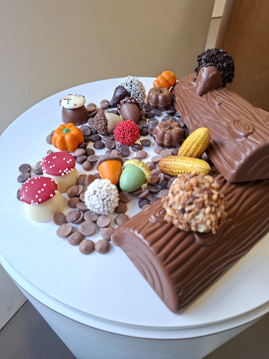 gina_huijbregts's tweet photo. Creatief met herfstchocolade 🍁🍂🍃🪹.
#HuijbregtsChocolade #Kruisstraat10 #Boxtel https://t.co/CJ6YuBFceJ