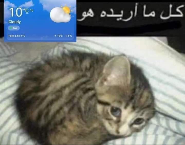 sidahmed618's tweet photo. https://t.co/bT9n90001D