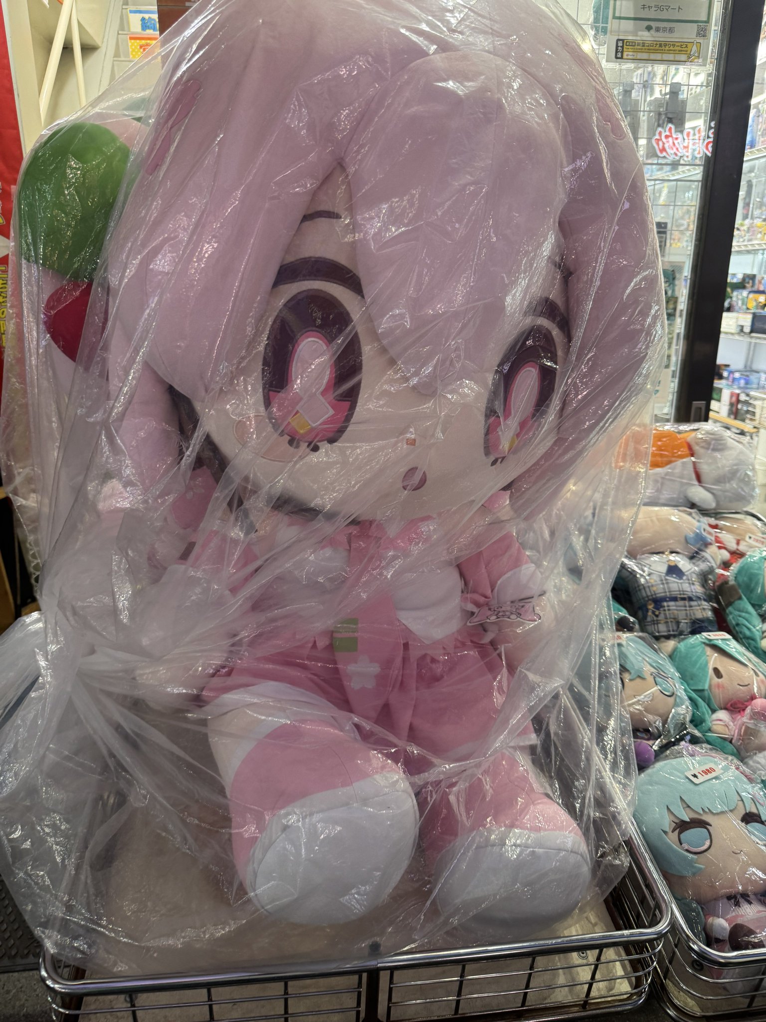 ビゴライブぬいぐるみ・桜BIちゃん・非売品 ビゴライブぬいぐるみ・桜BIちゃん・非売品 ビゴライブぬいぐるみ・桜