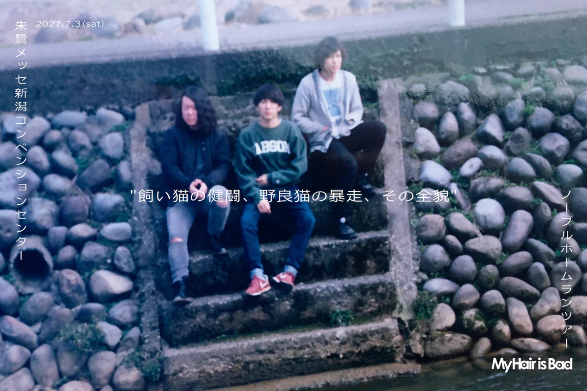 My Hair is Bad 「tours」 My Hair is Bad (@MyHairisBad) / X