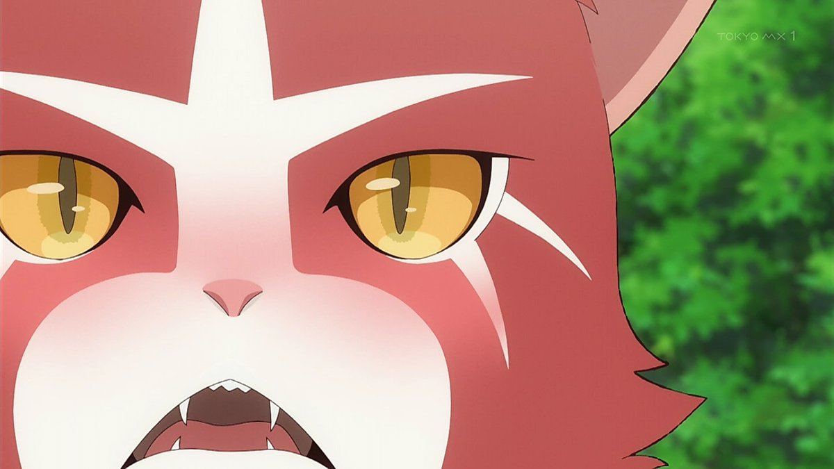猫と竜 第10話 ツイート画像 1