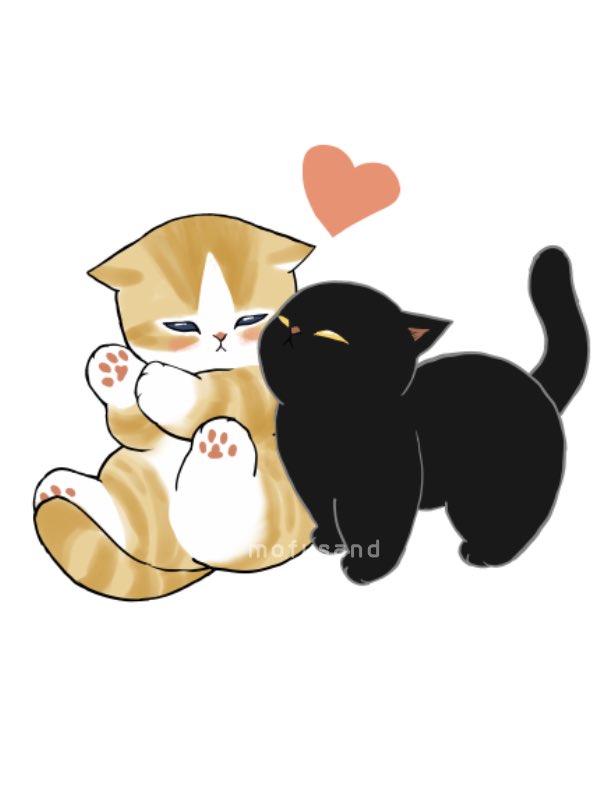 mofu_sand's tweet photo. 元気だして🐈‍⬛ https://t.co/ElvmF9HhEy