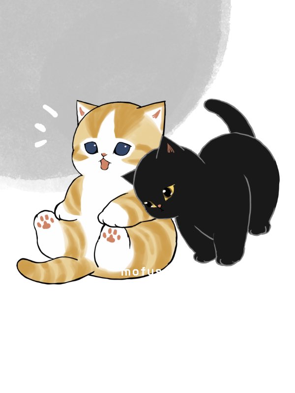 mofu_sand's tweet photo. 元気だして🐈‍⬛ https://t.co/ElvmF9HhEy